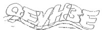Check code